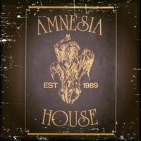 Amnesia House Sky Blue Connexion Mix Pt II by Dave Junglist
