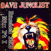 Random DNB Mix Pt I by Dave Junglist