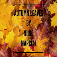Autumn Leaves by Nuno Marcial