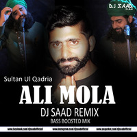 Ali Mola Ali Dam Dam | Dj Saad Remix | Bass Boosted | 2019 by Saad Official