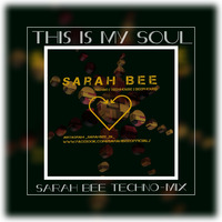 This is my SOUL (Sarah Bee Techno-Mi by Sarah Bee