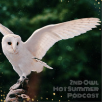 2nd Owl - Hot Summer Podcast by Owlmode
