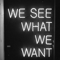 cgnfuchur mix 5 - We See What We Want by cgnfuchur