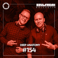 Stgfm #154 - Deep Anatomy mixed by Soulful Grey (Soulfreak Kollektiv) by Stgfm