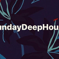 SUNDAYDEEPHOUSE selected by Denis urban by DJ GROOVEMENT INC.