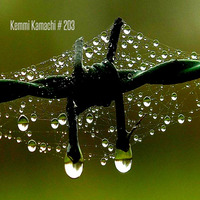 Kemmi Kamachi # 203 by Kemmi Kamachi