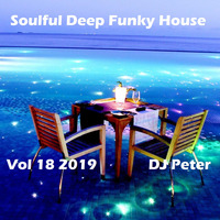 Soulful Deep Funky House Vol 18 2019 - DJ Peter by Peter Lindqvist