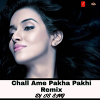 Chal Ame Akha Pakhi - -Tu Mo Love Story ( Remix ) Dj IS SNG by DJ IS SNG