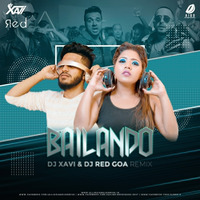 Bailando (Remix) - DJ Xavi &amp; DJ RED Goa by AIDD