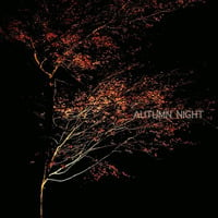 Autumn Night by Kanno Hisao