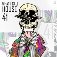 What I Call House Vol.41 by Emre K.