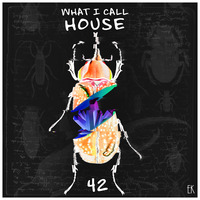 What I Call House Vol.42 by Emre K.