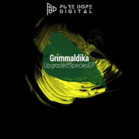 Grimmaldika - The Distinguished Gentleman (Original Mix Preview) by grimmaldika