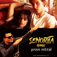 Señorita Remix By Prem Mittal by Prem Mittal