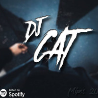 Dance Hits Vol.1 - Dj CAT by Dj CAT