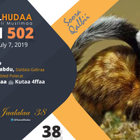 RNH 502, July 13, 2019 Soora Qalbii by NHStudio