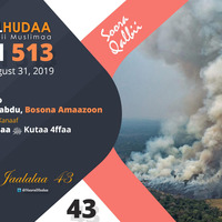 RNH 513, August 31, 2019 Soora Qalbii by NHStudio