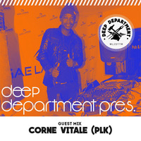 Corne Vitale - The Illusions (Guest Mix) by Deep_Department (ZA)