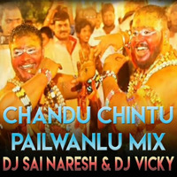 Chandu Chintu Pailwanlu Potharajule DJ Sai Naresh and DJ Vicky Mix by Sai Naresh | S VIII