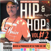 Hip Hop Mashup Vol 2 by Deejay Yung Ice