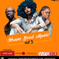 HOUSE GOOD MUSIC VOL3 by Deejay Yung Ice