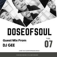 DoseOfSoul Vol 07[Ups&amp;Downs] Guest Mix By DJ Gee by Chef RayzorFihMusika
