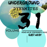 Underground Dynamites Vol 31 Mixed By SteezeDeep &amp; VOICE by Underground Dynamites Podcast