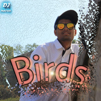 Birds Dj Mayur by DJ MAYUR : )