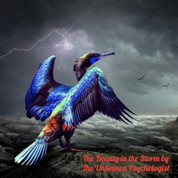 The Beauty in the Storm by The Unknown Psychologist by The Unknown Psychologist