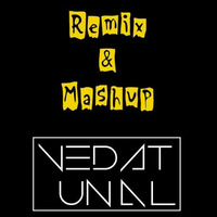 Remix & Mashup