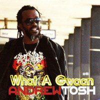 Andrew Tosh - What a Gwaan by selekta bosso