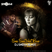 Sab Sahi Hai Bro (Remix) - DJ Sneha by AIDL Official™