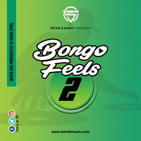 Bongo Feels 2 by Tetra 9 Music