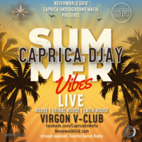 Summer Vibes Neverworld, Virgon V-Club live. Jun14 by Caprica