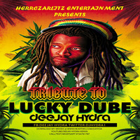 TRIBUTE TO LUCKY DUBE by Djhydra - Thee High Priest