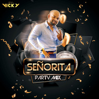 Senorita(Party Mix)-Dj Vicky Bhilai by VICKY BHILAI