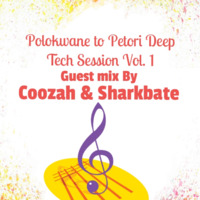 Polokwane to Pitori Deep Tech Vol.1 by Sharkbate
