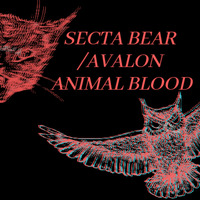 Animal blood by Secta bear / Avalon