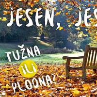 30.9.Poriluk gost neven carin by Poriluk.com