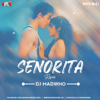 Senorita ( Remix) DJ Madwho by RemixSong Records