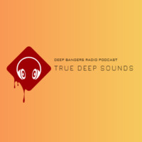 Alex Bleko - Deep Bangers Radio Podcast #4 by Alex Bleko