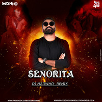 Senorita DJ Madwho Remix by Bollywood4Djs