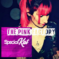The Pink Factory (Original Mix)  FREE DOWNLOAD by Special Kat