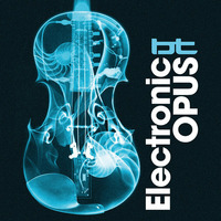 Satellite (EO) (feat Derek Mcnally) by electronic0pus