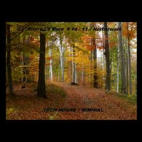 DJ. Pierre Le Mere //  # 14  - 11  // Herbstwald // Tech House  - Minimal // 100% Vinyls  by DJ.Pierre Le Mere
