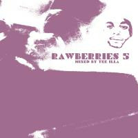 Rawberries 5 (mixed by Tee_iLLa) by Tee Illa