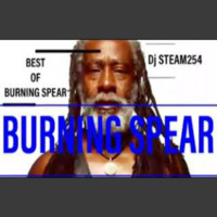 DJ STEAM254 THE SPIN MASTER presents Best of Burning spear  (official video) by DEEJAY STEAM254