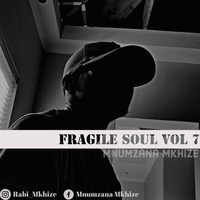 Fragile Soul Vol 7- Mnumzana Mkhize by Mnumzana  Mkhize