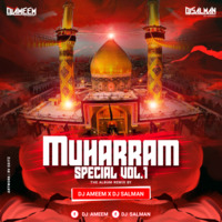 Ali Ali Maula Ali Ali DJ Ameem MP3 by djsalmankhan