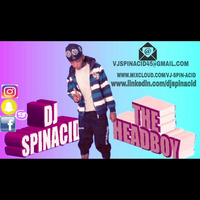 DJ SPINACID BEAT OF THE MOMENT by Em-stv/radio